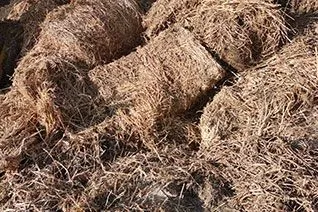 Straw