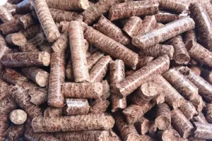 Can Bulky Waste Be Crushed into RDF?