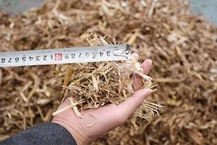 Straw
