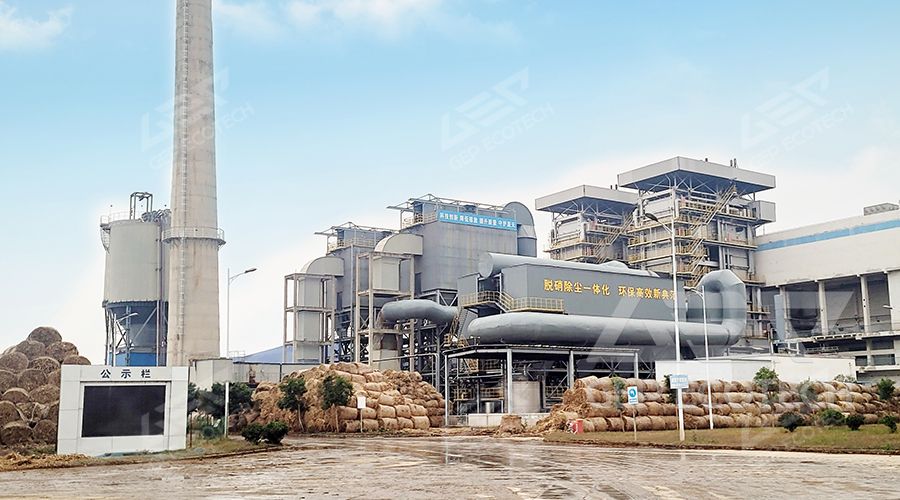 biomass co firing biomass co firing