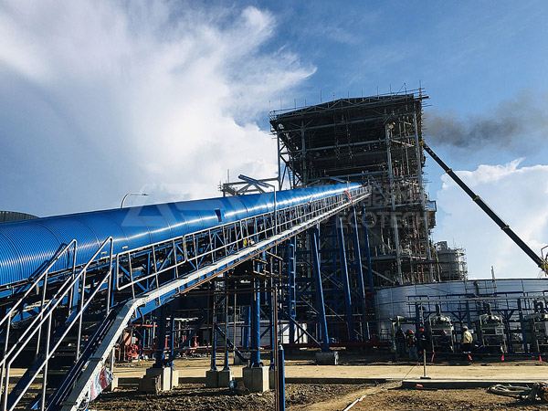 Southeast Asia NNBP25MW biomass power station project is really cool!