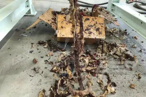 Shredders for Shredding Waste Lamb Skins from Meat Factories