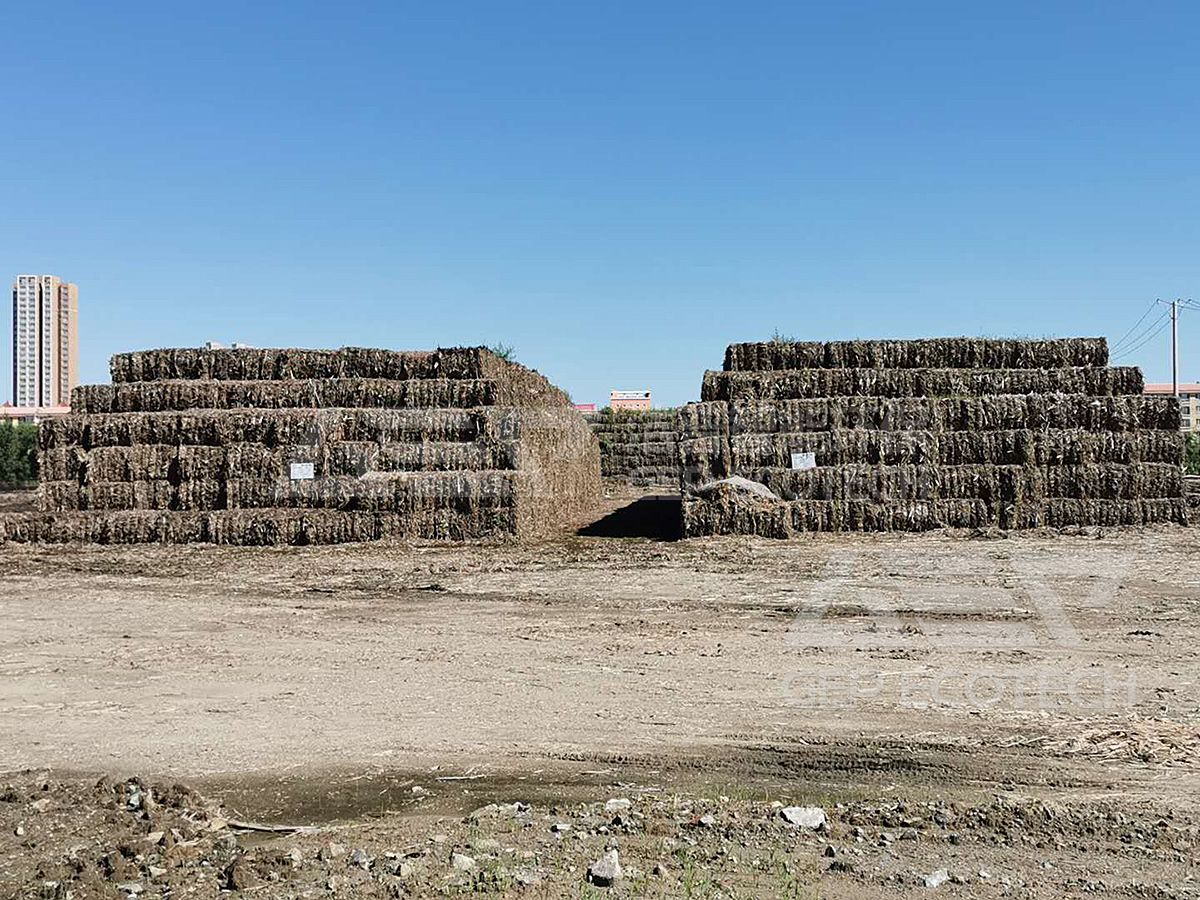 Biomass Biomass