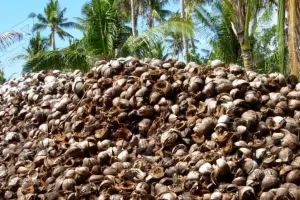 Coconut Husk Shredder Machine, Coconut Fiber Shredder