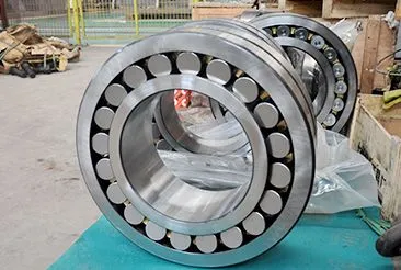 Bearing Sealing System