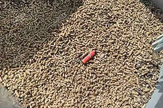 Biomass Pellets