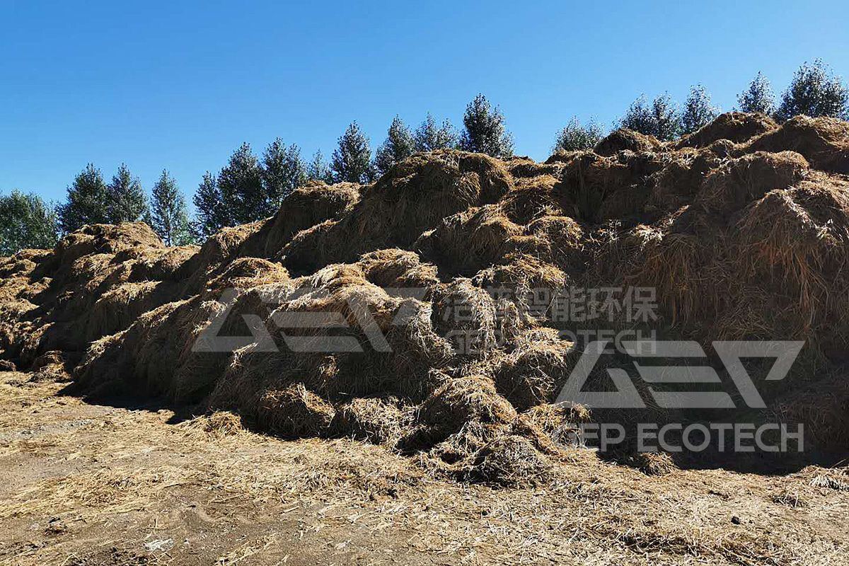 Biomass