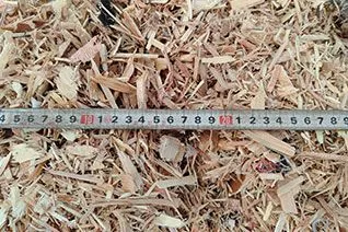 Wood