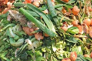 Organic  Waste