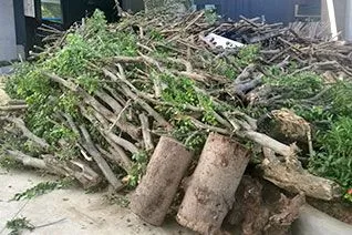 Garden Waste