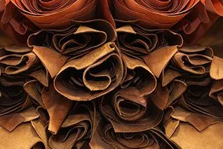 Scrap Leather
