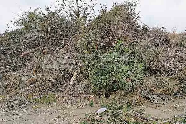 garden waste garden waste