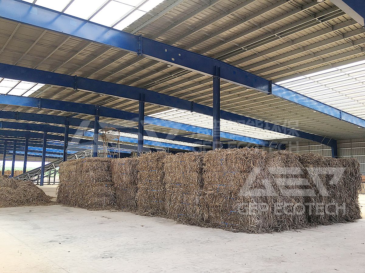 Sugarcane Leaves and Bagasse